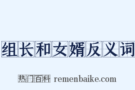 组长和女婿反义词是什么意思的图片